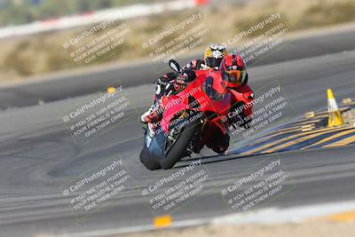 media/Oct-05-2024-Race Pace (Sat) [[aa7b44e117]]/2-Turn 11 (815am)/